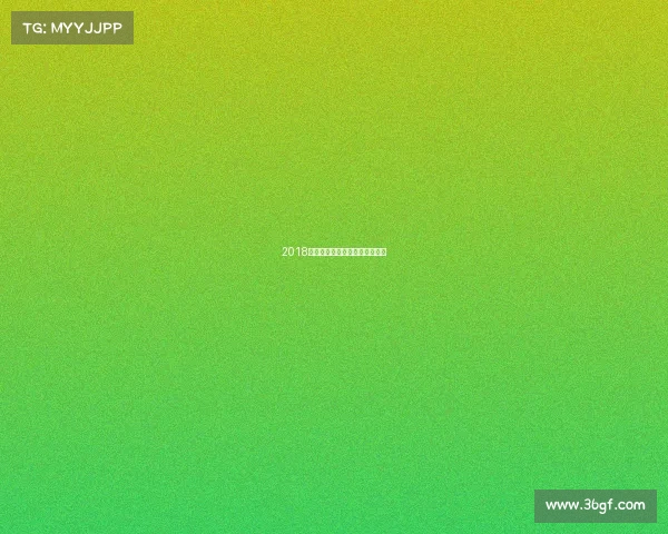 2018年申花中超赛季征程与荣耀回顾