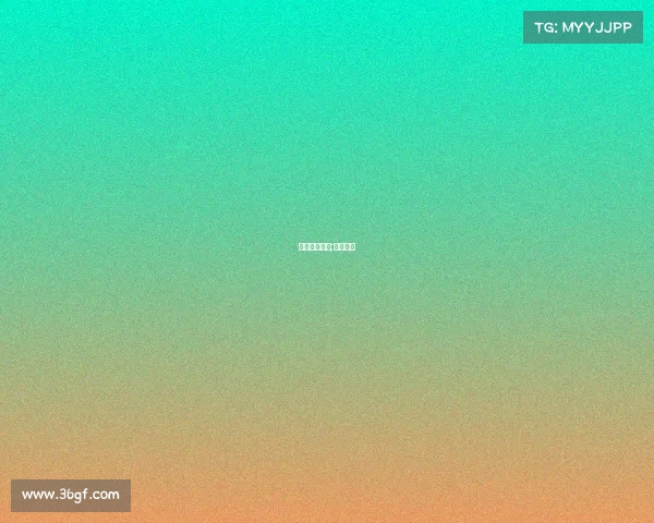 功夫搏击赛事;功夫搏斗